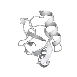 0687_6j6h_a_v1-1
Cryo-EM structure of the yeast B*-a1 complex at an average resolution of 3.6 angstrom