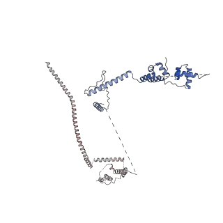 0687_6j6h_c_v2-0
Cryo-EM structure of the yeast B*-a1 complex at an average resolution of 3.6 angstrom