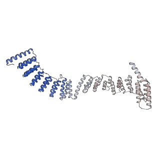 0687_6j6h_d_v1-1
Cryo-EM structure of the yeast B*-a1 complex at an average resolution of 3.6 angstrom