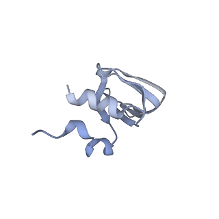 0687_6j6h_l_v1-1
Cryo-EM structure of the yeast B*-a1 complex at an average resolution of 3.6 angstrom