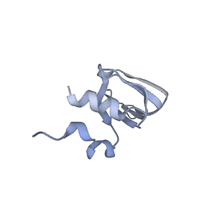 0687_6j6h_l_v2-0
Cryo-EM structure of the yeast B*-a1 complex at an average resolution of 3.6 angstrom