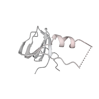 0687_6j6h_s_v1-1
Cryo-EM structure of the yeast B*-a1 complex at an average resolution of 3.6 angstrom
