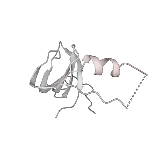 0687_6j6h_s_v2-0
Cryo-EM structure of the yeast B*-a1 complex at an average resolution of 3.6 angstrom