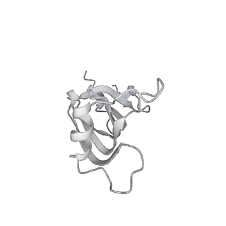 0687_6j6h_z_v1-1
Cryo-EM structure of the yeast B*-a1 complex at an average resolution of 3.6 angstrom