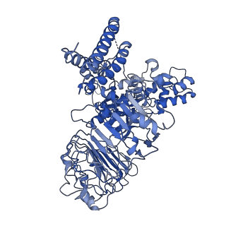 0688_6j6i_F_v1-1
Reconstitution and structure of a plant NLR resistosome conferring immunity