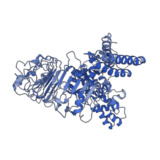 0688_6j6i_L_v1-1
Reconstitution and structure of a plant NLR resistosome conferring immunity