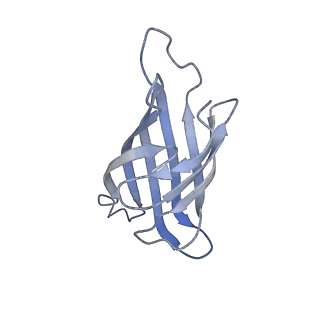 0689_6j6j_A_v1-4
Biotin-bound streptavidin