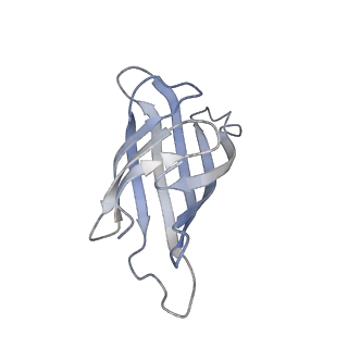 0689_6j6j_C_v1-3
Biotin-bound streptavidin