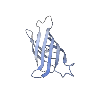 0689_6j6j_D_v1-3
Biotin-bound streptavidin