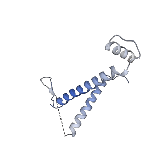 0691_6j6n_I_v1-1
Cryo-EM structure of the yeast B*-b1 complex at an average resolution of 3.86 angstrom