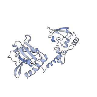0691_6j6n_Q_v1-1
Cryo-EM structure of the yeast B*-b1 complex at an average resolution of 3.86 angstrom