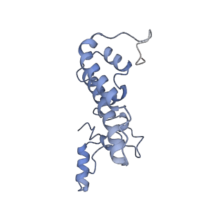 0691_6j6n_T_v2-0
Cryo-EM structure of the yeast B*-b1 complex at an average resolution of 3.86 angstrom