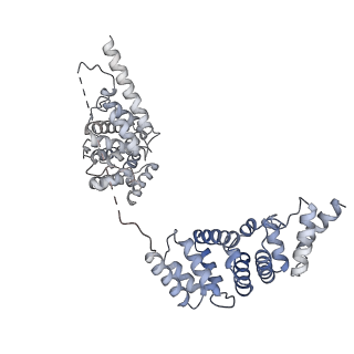 0691_6j6n_Z_v1-1
Cryo-EM structure of the yeast B*-b1 complex at an average resolution of 3.86 angstrom