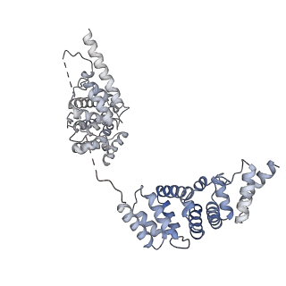 0691_6j6n_Z_v2-0
Cryo-EM structure of the yeast B*-b1 complex at an average resolution of 3.86 angstrom