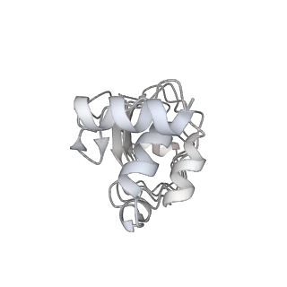 0691_6j6n_b_v1-1
Cryo-EM structure of the yeast B*-b1 complex at an average resolution of 3.86 angstrom