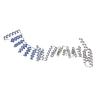 0691_6j6n_d_v1-1
Cryo-EM structure of the yeast B*-b1 complex at an average resolution of 3.86 angstrom