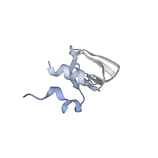 0691_6j6n_l_v1-1
Cryo-EM structure of the yeast B*-b1 complex at an average resolution of 3.86 angstrom
