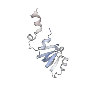0691_6j6n_m_v1-1
Cryo-EM structure of the yeast B*-b1 complex at an average resolution of 3.86 angstrom