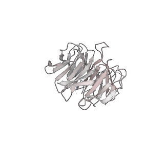 0691_6j6n_n_v1-1
Cryo-EM structure of the yeast B*-b1 complex at an average resolution of 3.86 angstrom