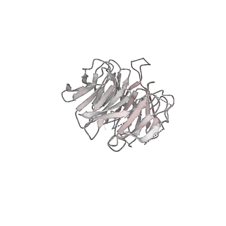 0691_6j6n_n_v2-0
Cryo-EM structure of the yeast B*-b1 complex at an average resolution of 3.86 angstrom