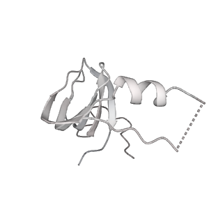 0691_6j6n_s_v1-1
Cryo-EM structure of the yeast B*-b1 complex at an average resolution of 3.86 angstrom