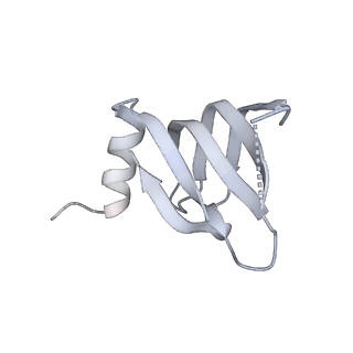0691_6j6n_u_v1-1
Cryo-EM structure of the yeast B*-b1 complex at an average resolution of 3.86 angstrom