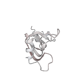0691_6j6n_z_v1-1
Cryo-EM structure of the yeast B*-b1 complex at an average resolution of 3.86 angstrom