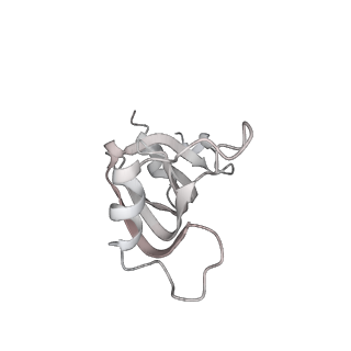 0691_6j6n_z_v2-0
Cryo-EM structure of the yeast B*-b1 complex at an average resolution of 3.86 angstrom