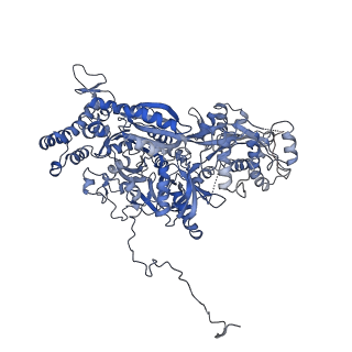0692_6j6q_C_v1-1
Cryo-EM structure of the yeast B*-b2 complex at an average resolution of 3.7 angstrom