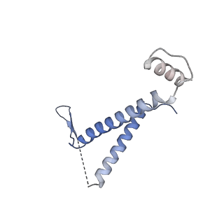 0692_6j6q_I_v1-1
Cryo-EM structure of the yeast B*-b2 complex at an average resolution of 3.7 angstrom