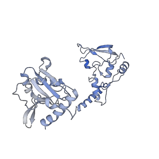 0692_6j6q_Q_v1-1
Cryo-EM structure of the yeast B*-b2 complex at an average resolution of 3.7 angstrom