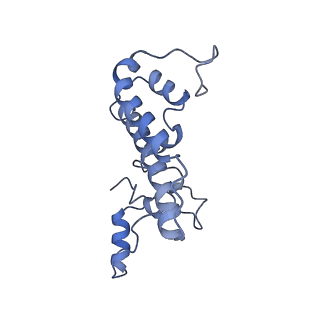 0692_6j6q_T_v1-1
Cryo-EM structure of the yeast B*-b2 complex at an average resolution of 3.7 angstrom