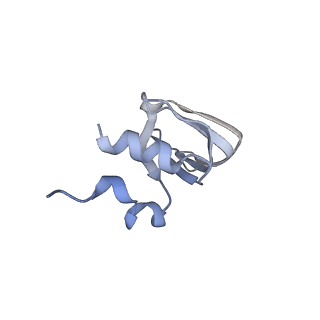 0692_6j6q_l_v1-1
Cryo-EM structure of the yeast B*-b2 complex at an average resolution of 3.7 angstrom