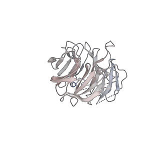 0692_6j6q_n_v1-1
Cryo-EM structure of the yeast B*-b2 complex at an average resolution of 3.7 angstrom