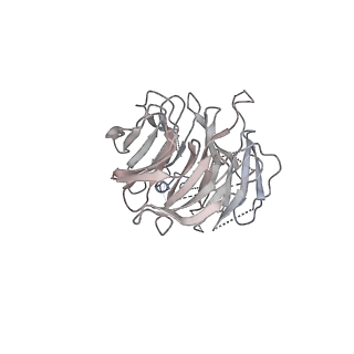 0692_6j6q_n_v2-0
Cryo-EM structure of the yeast B*-b2 complex at an average resolution of 3.7 angstrom