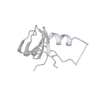 0692_6j6q_s_v1-1
Cryo-EM structure of the yeast B*-b2 complex at an average resolution of 3.7 angstrom