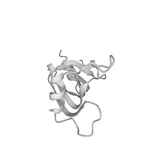 0692_6j6q_z_v1-1
Cryo-EM structure of the yeast B*-b2 complex at an average resolution of 3.7 angstrom