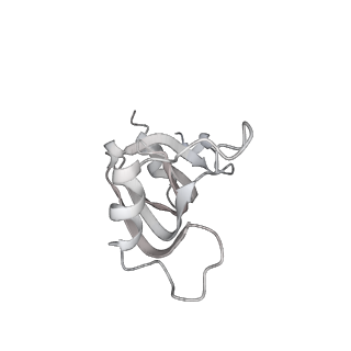 0692_6j6q_z_v2-0
Cryo-EM structure of the yeast B*-b2 complex at an average resolution of 3.7 angstrom