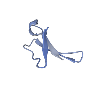 2566_3j6b_0_v1-5
Structure of the yeast mitochondrial large ribosomal subunit