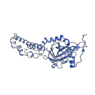 2566_3j6b_1_v1-4
Structure of the yeast mitochondrial large ribosomal subunit