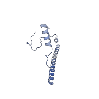 2566_3j6b_2_v1-4
Structure of the yeast mitochondrial large ribosomal subunit