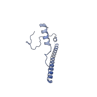 2566_3j6b_2_v1-5
Structure of the yeast mitochondrial large ribosomal subunit