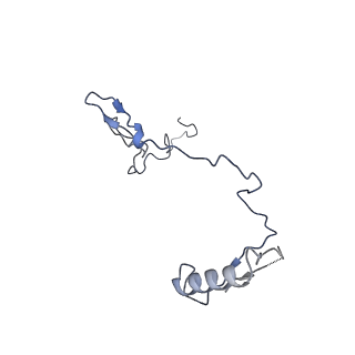 2566_3j6b_3_v1-4
Structure of the yeast mitochondrial large ribosomal subunit