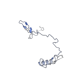 2566_3j6b_3_v1-5
Structure of the yeast mitochondrial large ribosomal subunit