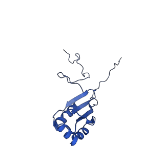 2566_3j6b_4_v1-4
Structure of the yeast mitochondrial large ribosomal subunit