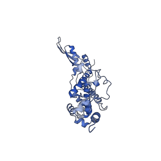 2566_3j6b_5_v1-5
Structure of the yeast mitochondrial large ribosomal subunit