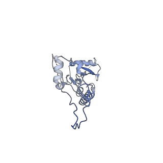 2566_3j6b_6_v1-4
Structure of the yeast mitochondrial large ribosomal subunit