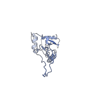 2566_3j6b_6_v1-5
Structure of the yeast mitochondrial large ribosomal subunit