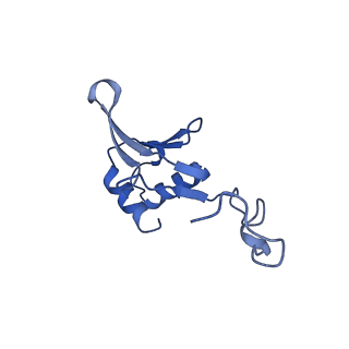 2566_3j6b_7_v1-4
Structure of the yeast mitochondrial large ribosomal subunit