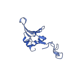 2566_3j6b_7_v1-5
Structure of the yeast mitochondrial large ribosomal subunit